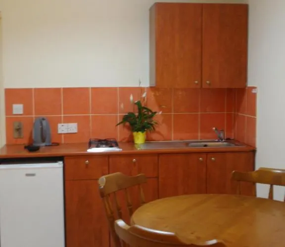 Palm Sea アパートホテル ラルナカ